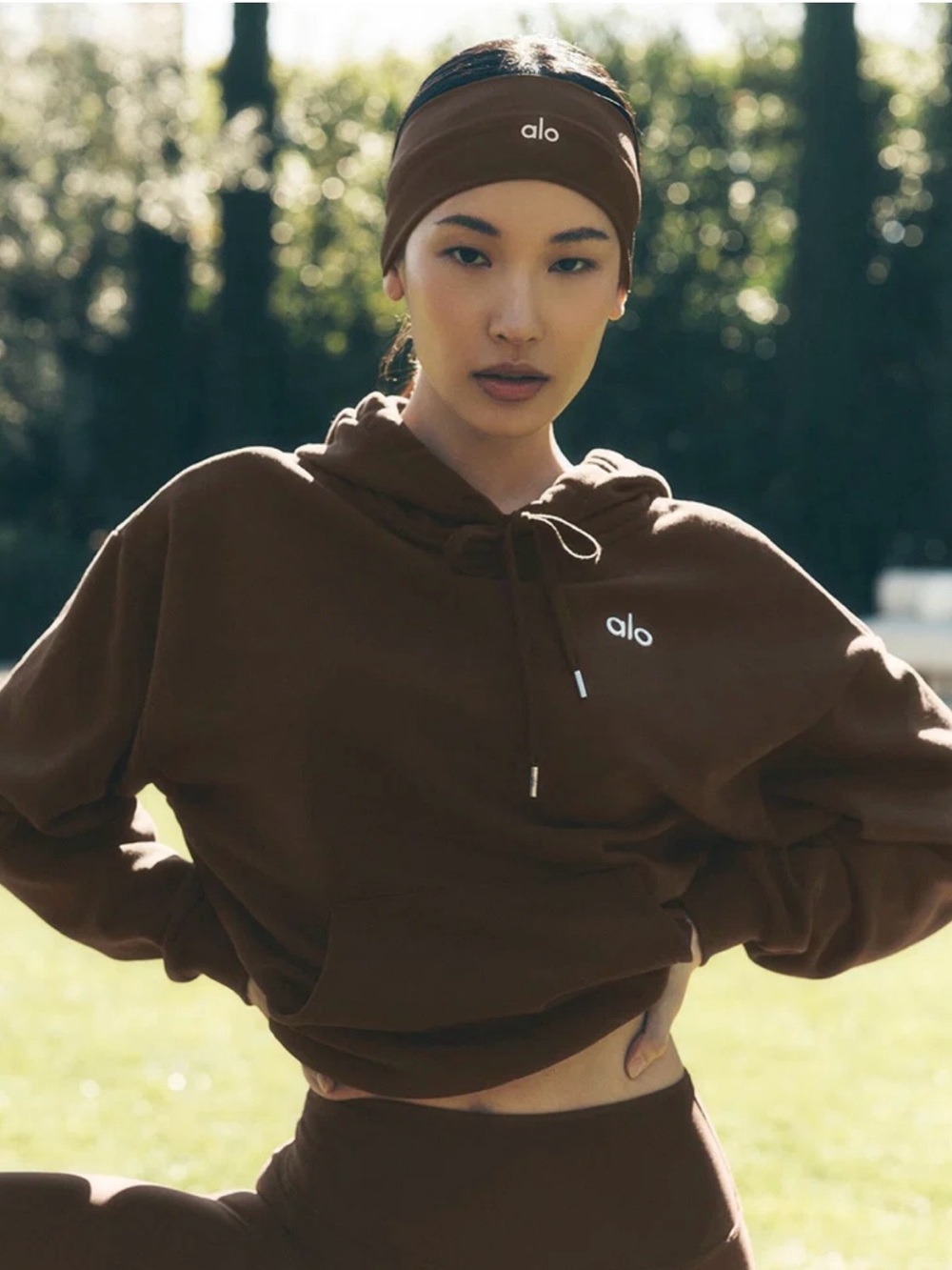 ALO Accolade Hoodie in Espresso ✨